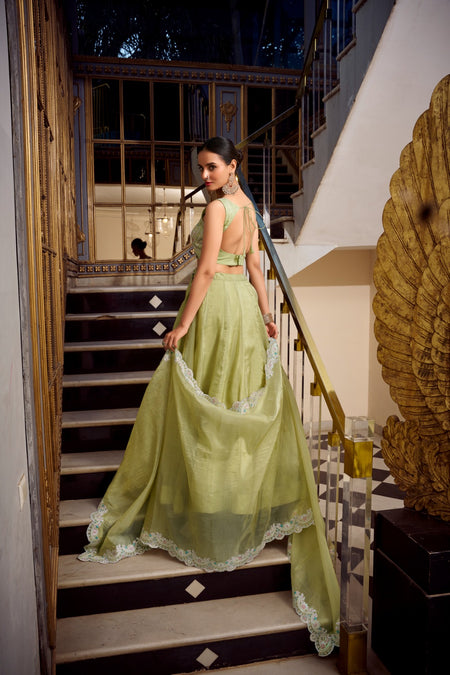 Pista Color Gold Crush Lehenga Choli - ANIBEY