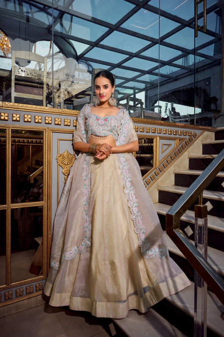 Pista Color Gold Crush Lehenga Choli - ANIBEY
