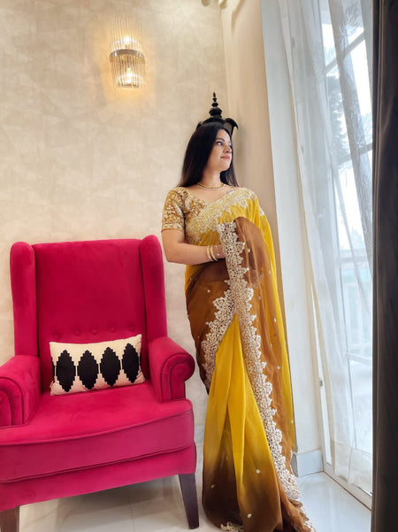 Presenting you most beautiful sequence saree collection - ANIBEY